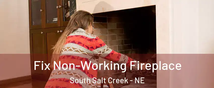 Fix Non-Working Fireplace South Salt Creek - NE