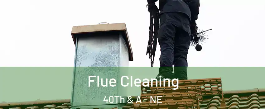 Flue Cleaning 40Th & A - NE