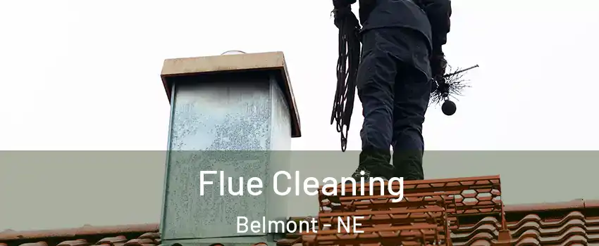 Flue Cleaning Belmont - NE