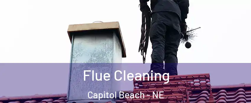 Flue Cleaning Capitol Beach - NE