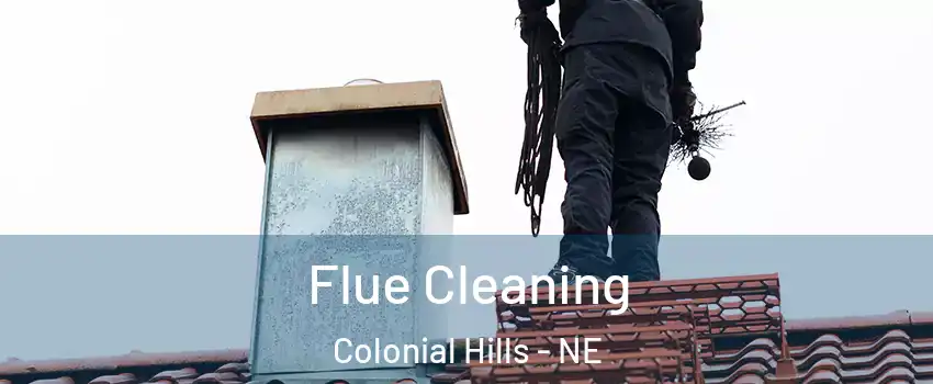 Flue Cleaning Colonial Hills - NE