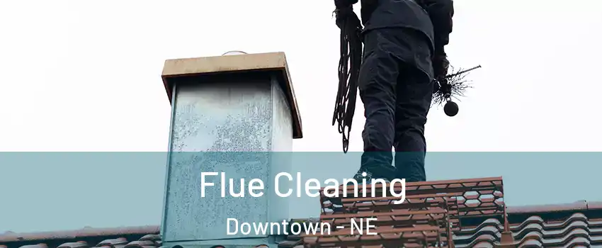 Flue Cleaning Downtown - NE