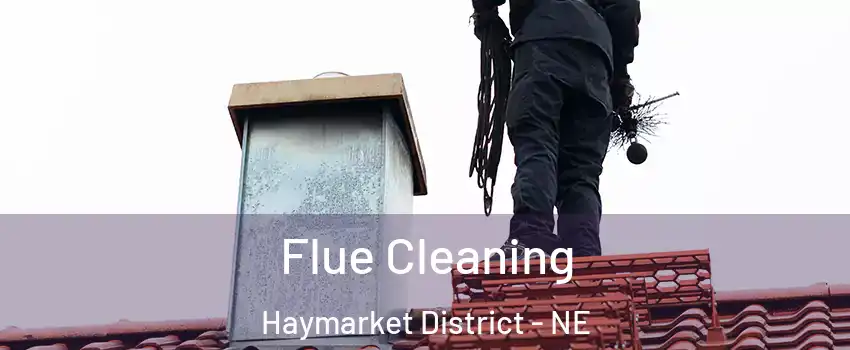 Flue Cleaning Haymarket District - NE