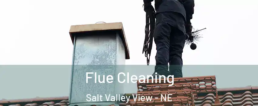 Flue Cleaning Salt Valley View - NE