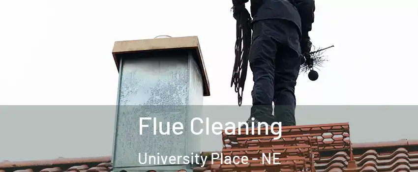 Flue Cleaning University Place - NE