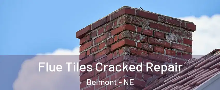 Flue Tiles Cracked Repair Belmont - NE