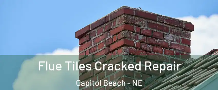 Flue Tiles Cracked Repair Capitol Beach - NE