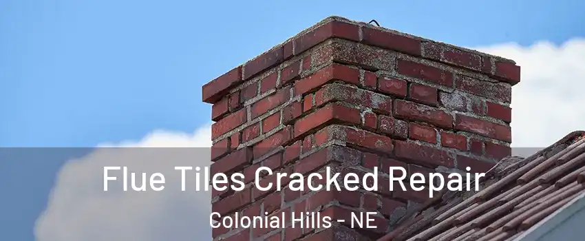 Flue Tiles Cracked Repair Colonial Hills - NE