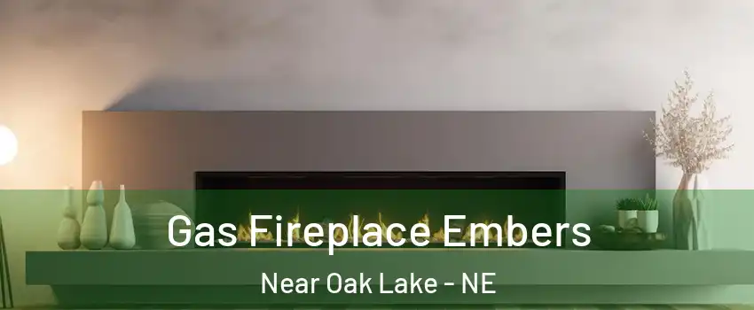 Gas Fireplace Embers Near Oak Lake - NE