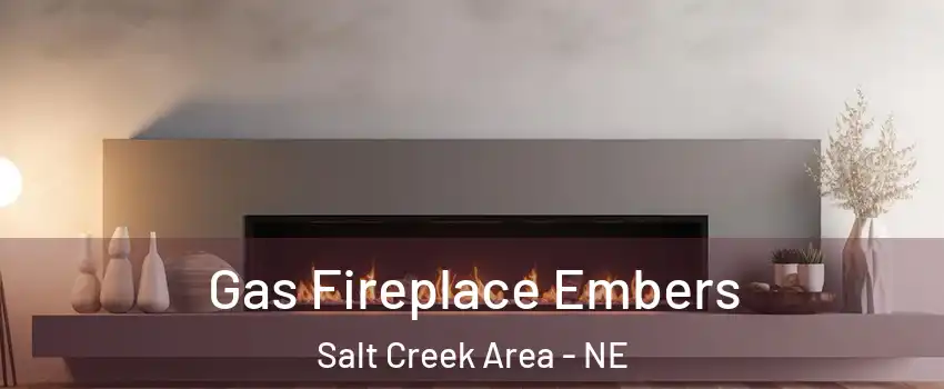 Gas Fireplace Embers Salt Creek Area - NE