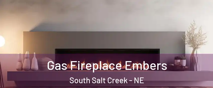 Gas Fireplace Embers South Salt Creek - NE