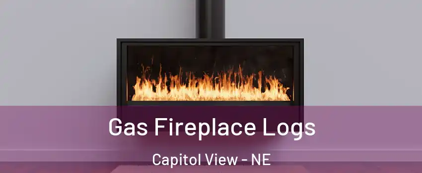 Gas Fireplace Logs Capitol View - NE
