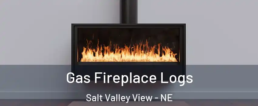 Gas Fireplace Logs Salt Valley View - NE