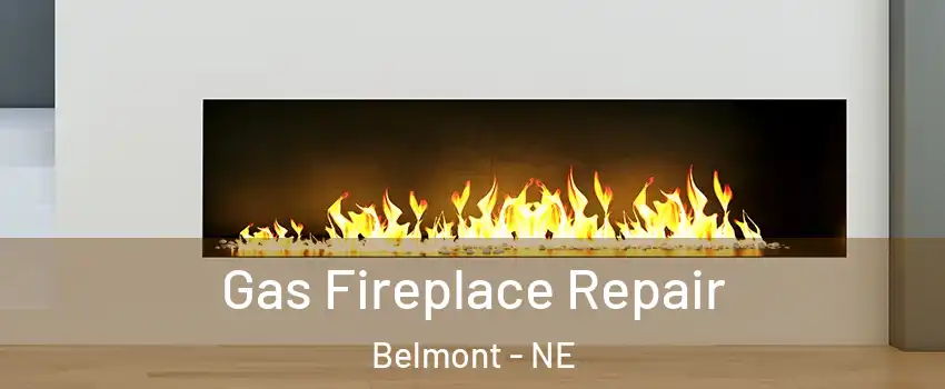 Gas Fireplace Repair Belmont - NE