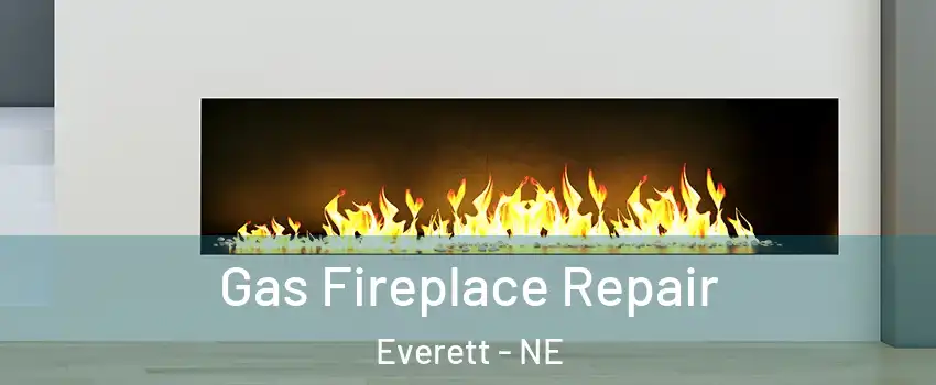 Gas Fireplace Repair Everett - NE