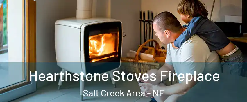 Hearthstone Stoves Fireplace Salt Creek Area - NE