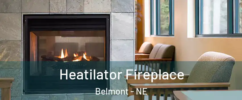 Heatilator Fireplace Belmont - NE