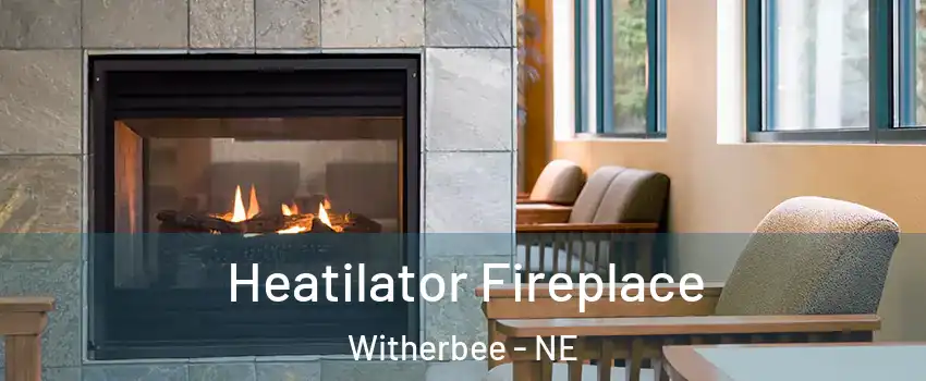 Heatilator Fireplace Witherbee - NE