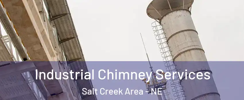 Industrial Chimney Services Salt Creek Area - NE