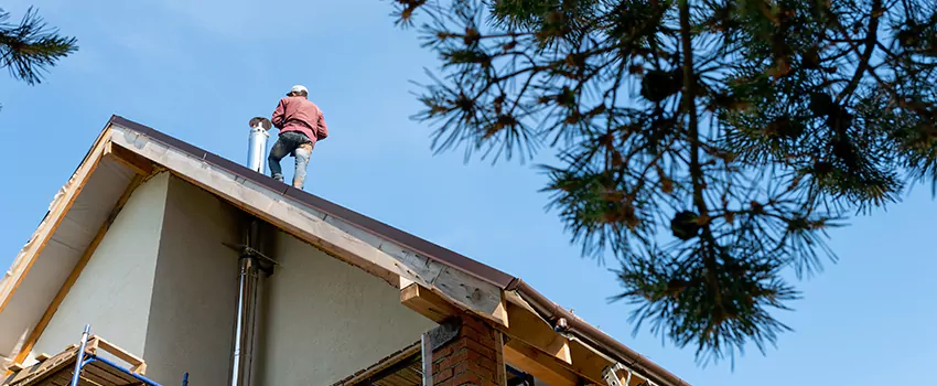 Birds Removal Contractors from Chimney in North Bottoms, NE