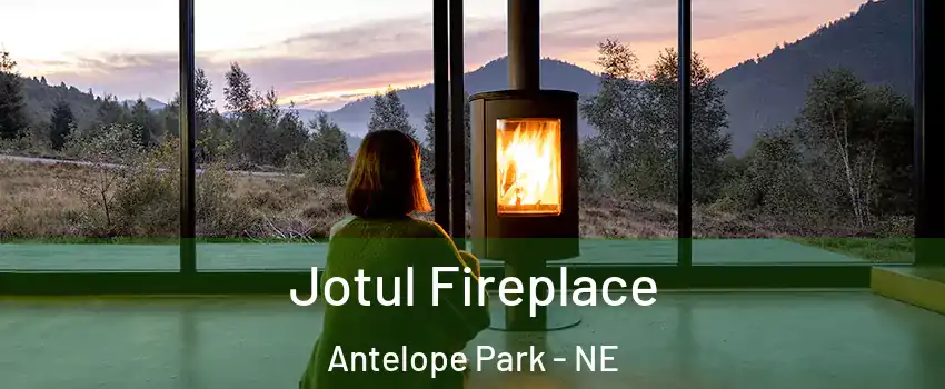 Jotul Fireplace Antelope Park - NE