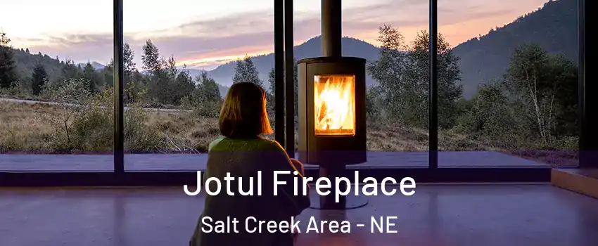 Jotul Fireplace Salt Creek Area - NE