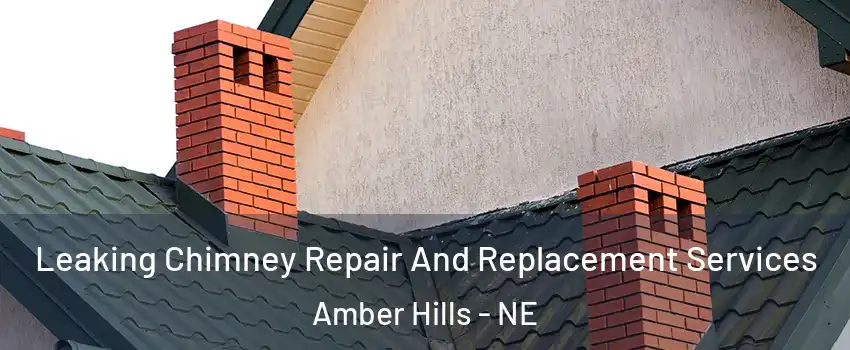 Leaking Chimney Repair And Replacement Services Amber Hills - NE