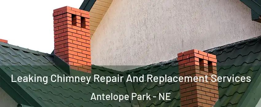 Leaking Chimney Repair And Replacement Services Antelope Park - NE