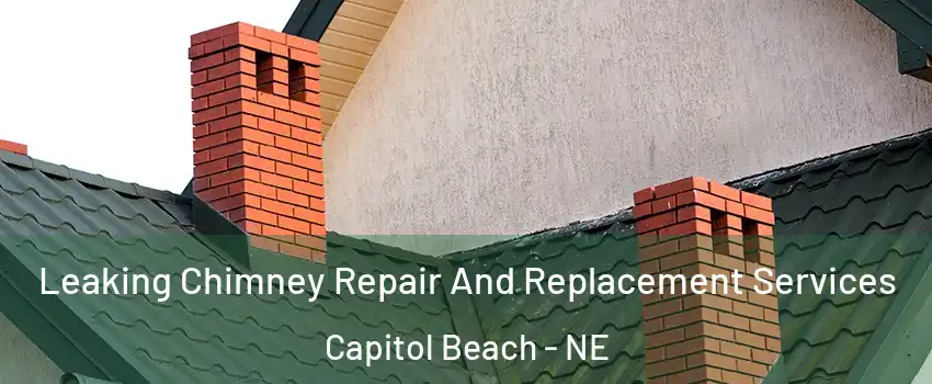 Leaking Chimney Repair And Replacement Services Capitol Beach - NE