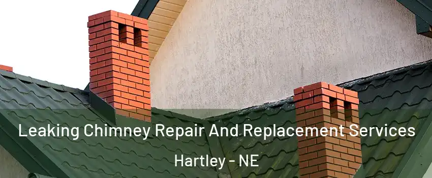 Leaking Chimney Repair And Replacement Services Hartley - NE