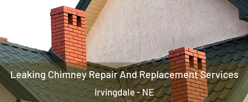 Leaking Chimney Repair And Replacement Services Irvingdale - NE