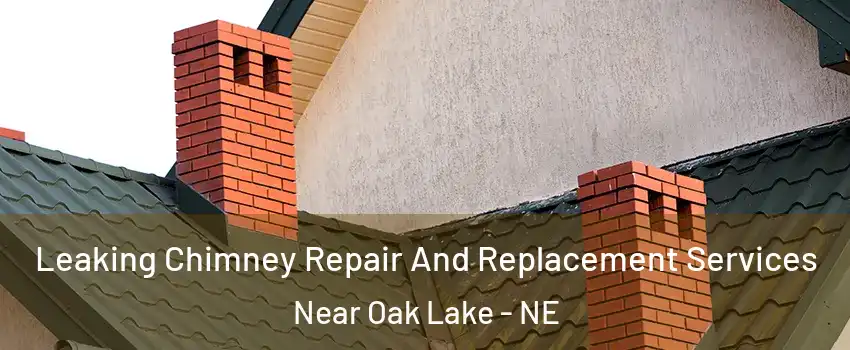 Leaking Chimney Repair And Replacement Services Near Oak Lake - NE