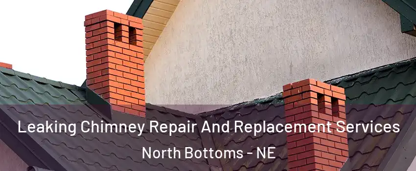 Leaking Chimney Repair And Replacement Services North Bottoms - NE