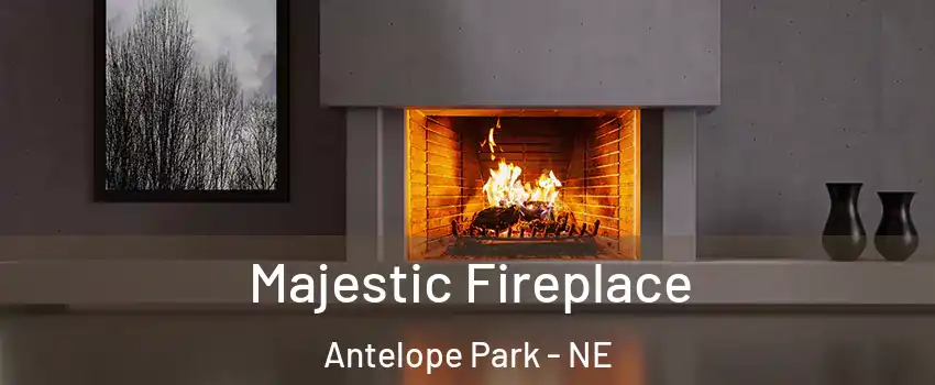 Majestic Fireplace Antelope Park - NE