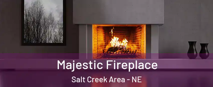 Majestic Fireplace Salt Creek Area - NE