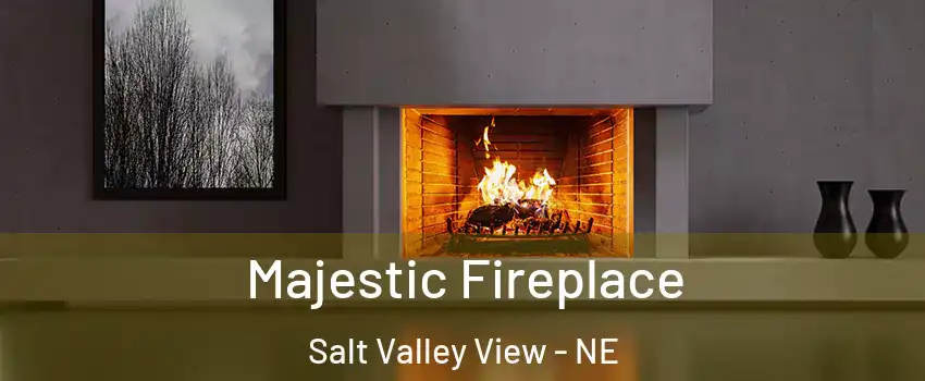 Majestic Fireplace Salt Valley View - NE