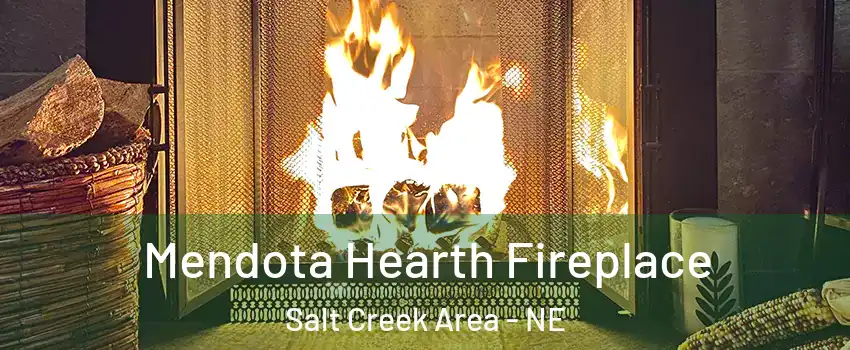 Mendota Hearth Fireplace Salt Creek Area - NE