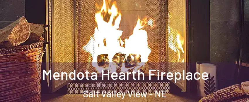 Mendota Hearth Fireplace Salt Valley View - NE