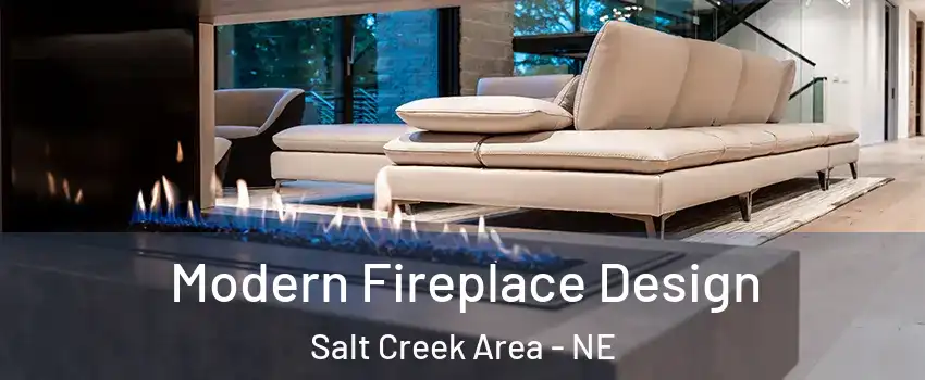 Modern Fireplace Design Salt Creek Area - NE