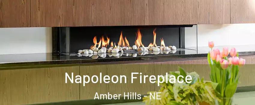 Napoleon Fireplace Amber Hills - NE