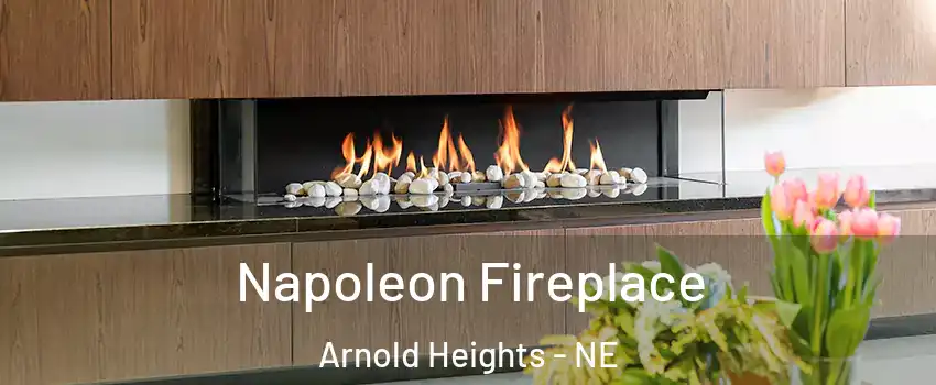 Napoleon Fireplace Arnold Heights - NE