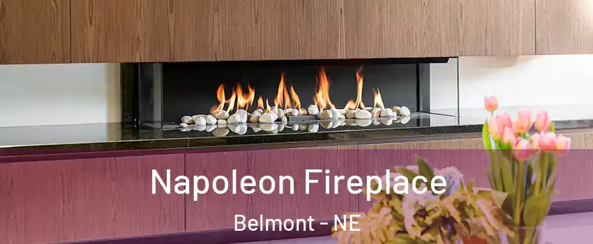 Napoleon Fireplace Belmont - NE