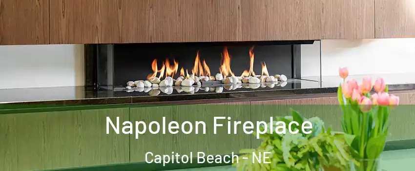 Napoleon Fireplace Capitol Beach - NE