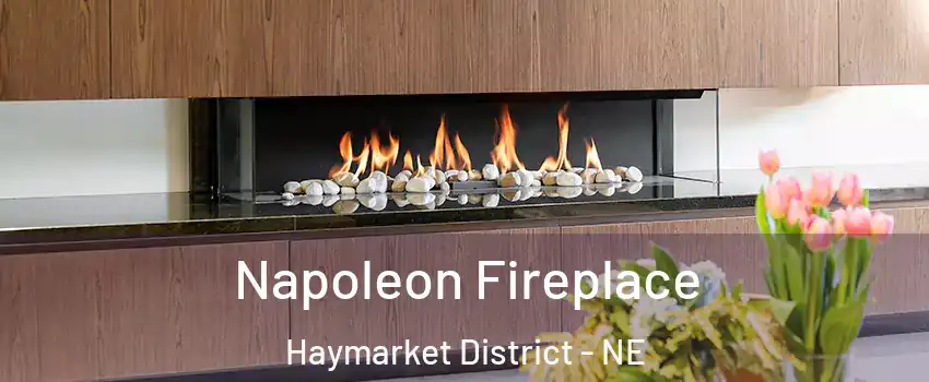 Napoleon Fireplace Haymarket District - NE