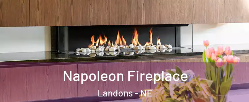 Napoleon Fireplace Landons - NE