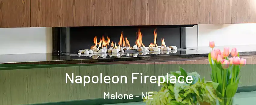 Napoleon Fireplace Malone - NE