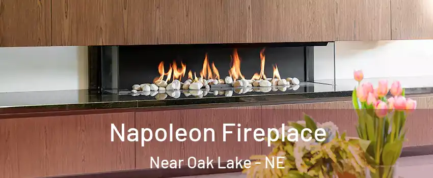 Napoleon Fireplace Near Oak Lake - NE