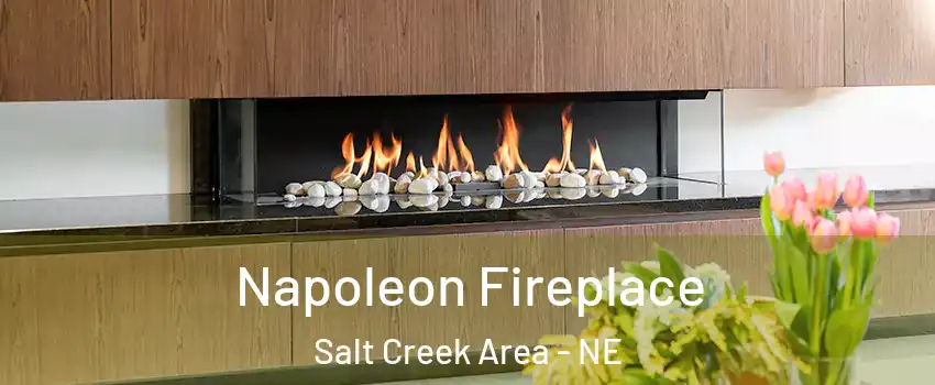 Napoleon Fireplace Salt Creek Area - NE