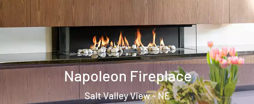 Napoleon Fireplace Salt Valley View - NE