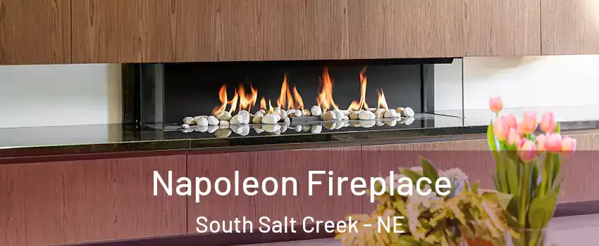 Napoleon Fireplace South Salt Creek - NE